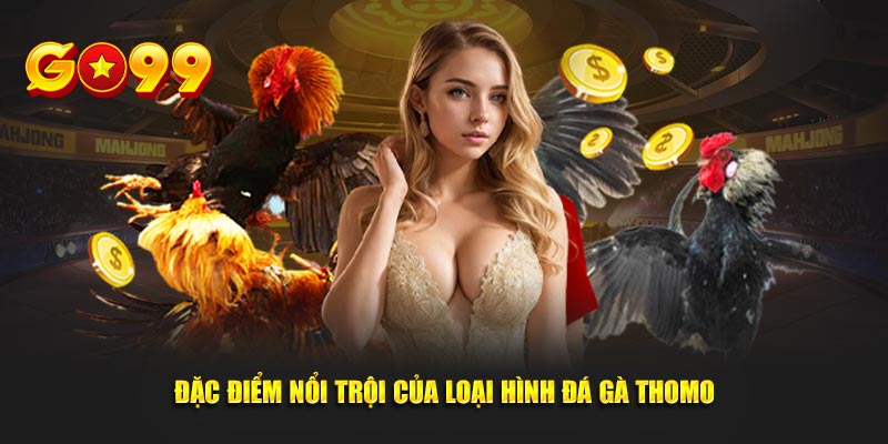 Đặc điểm nổi trội của loại hình đá gà thomo